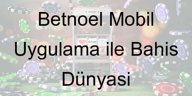 Betnoel mobil uygulama